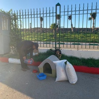 photo de livraison pour Sanctuaire de la Faune de Tanger (SFT)