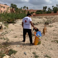 photo de livraison pour L'Arche de Noé