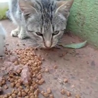 photo de livraison pour Samantha Réaux