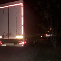 photo de livraison pour Antonia Save Animals