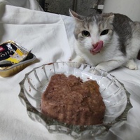 photo de livraison pour Les Chats de la Rue