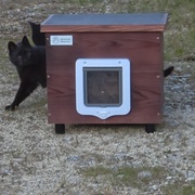 photo de livraison pour URGENCE AIDE ANIMAUX