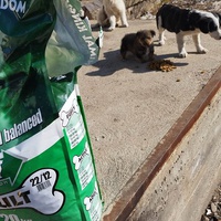 photo de livraison pour Spaske