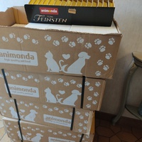 photo de livraison pour Les chats de l'Indifférence