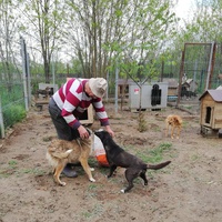 photo de livraison pour Association Lupy Orastie