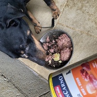 photo de livraison pour L'Esperanza