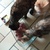 photo animal