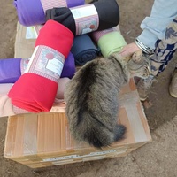 photo de livraison pour Chats Libres de Béziers