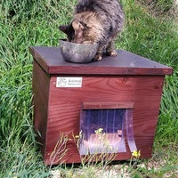 photo de livraison pour Clan du chat libre