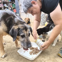 photo de livraison pour Chats Libres de Béziers