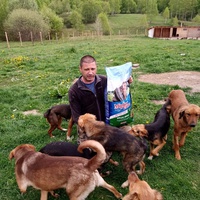 photo de livraison pour Silver Dog Srebrenica