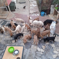 photo de livraison pour Tulay Avcı