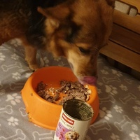 photo de livraison pour AVRAH