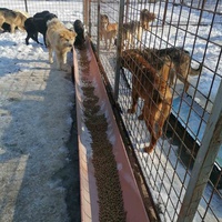 photo de livraison pour Humans foR thEM