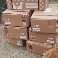 photo de livraison pour Cat Miaou