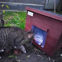 photo de livraison pour Chez Minou