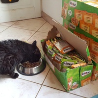 photo de livraison pour Gamelles sans Frontière