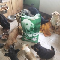 photo de livraison pour ПРИХВАТИЛИШТЕ ДРАЖЕВАЦ