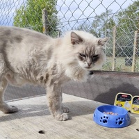photo de livraison pour Ecole du Chat de Poitiers