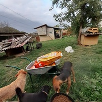 photo de livraison pour ПРИХВАТИЛИШТЕ ДРАЖЕВАЦ