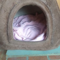 photo de livraison pour ANIMAL ATTITUDE