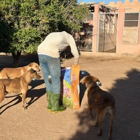 photo de livraison pour Le Coeur sur la Patte