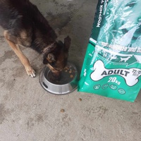 photo de livraison pour Udruženje za zaštitu životinja "Pongo"