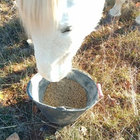 photo de livraison pour Equi-Libre : Droit à la Retraite Equine