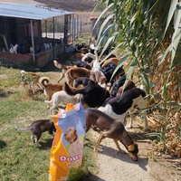 photo de livraison pour Sanctuaire de la Faune de Tanger (SFT)