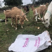 photo de livraison pour Espoir au Galop