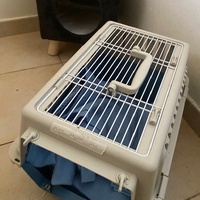 photo de livraison pour Les Chats Libres Condom 32