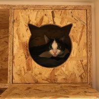 photo de livraison pour Ronron Association