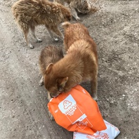 photo de livraison pour Anca Timpeanu