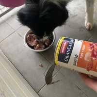 photo de livraison pour L'Esperanza