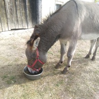 photo de livraison pour ADADA