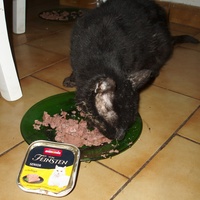 photo de livraison pour Protection Animale Berroise