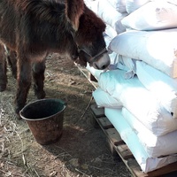 photo de livraison pour Equi-Vivre