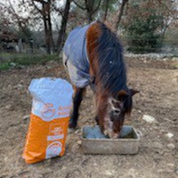 photo de livraison pour Equi-Vivre