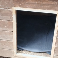 photo de livraison pour Cat Miaou