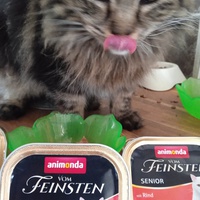 photo de livraison pour Stérilcat 80