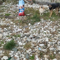 photo de livraison pour Sapa u srcu