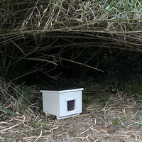 photo de livraison pour Les chats de chez nous