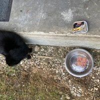photo de livraison pour Cosette