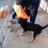 photo de livraison pour Asociația Hăpluț și prietenii