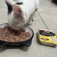 photo de livraison pour Cosa Animalia