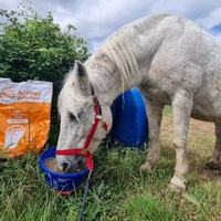 photo de livraison pour La Retraite des Chevaux des Causses