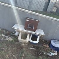 photo de livraison pour Chat Gratouille