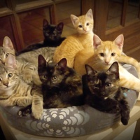 photo de livraison pour Lita