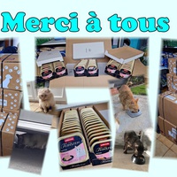 photo de livraison pour Association AmiCat