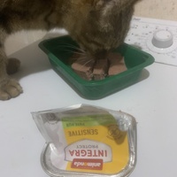photo de livraison pour Des Poils et Des Plumes
